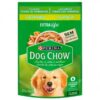 RACAO DOG CHOW FILHOTE FGO SHT 100GR