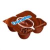 SOBREMESA DANONE DANETTE CHOC LV+PG-360G