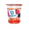 IOG BATAVO CAMADAS FRUTAS VERMELHAS 100G