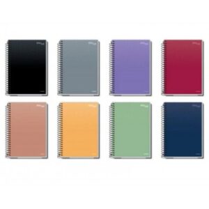 CADERNO CREDEAL CD ESSENCIALE 1M 80F