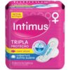 ABSORVENTE INTIMUS GS S/A