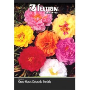 SEMENTE FELTRIN ONZE HORAS DOBRADA SORT
