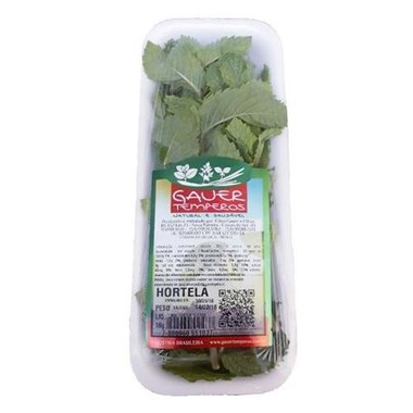 HORTI HORTELA GAUER TEMPE